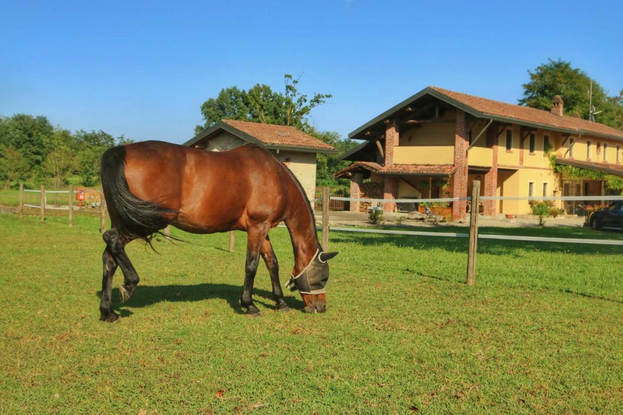 Agriturismo Helianthus Oleggio Εξωτερικό φωτογραφία