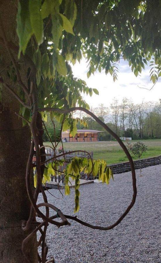 Agriturismo Helianthus Oleggio Εξωτερικό φωτογραφία