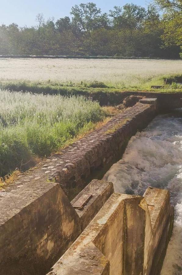 Agriturismo Helianthus Βίλα Oleggio Εξωτερικό φωτογραφία