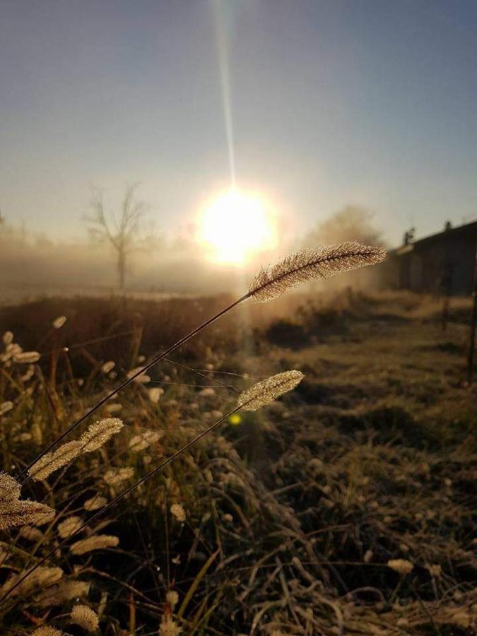Agriturismo Helianthus Oleggio Εξωτερικό φωτογραφία