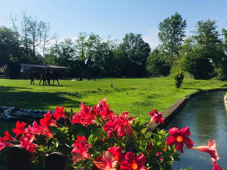 Agriturismo Helianthus Oleggio Εξωτερικό φωτογραφία