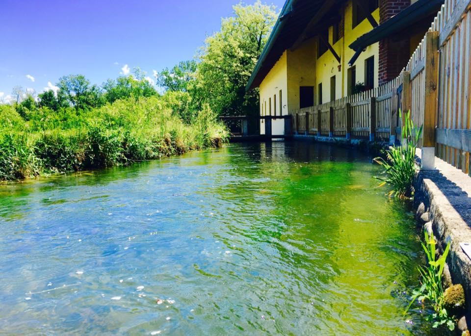 Agriturismo Helianthus Βίλα Oleggio Εξωτερικό φωτογραφία