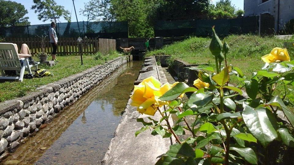 Agriturismo Helianthus Oleggio Εξωτερικό φωτογραφία