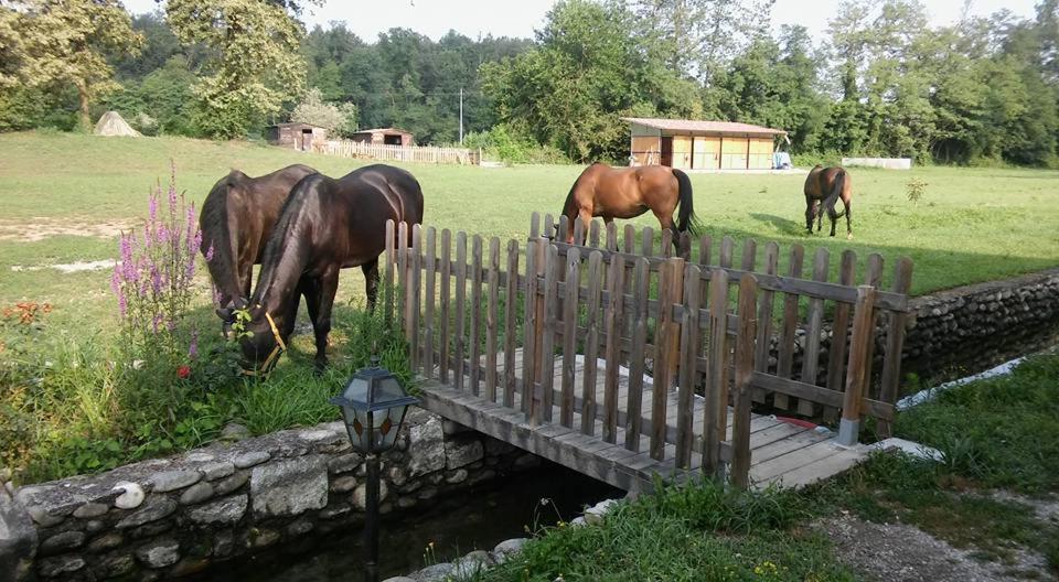 Agriturismo Helianthus Oleggio Εξωτερικό φωτογραφία